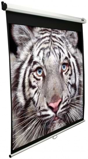 Фото - Екран Elite Screens M120XWV2