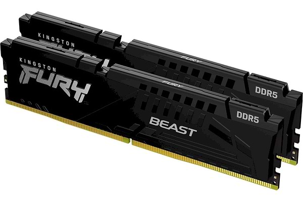 Фото - Память DDR Kingston Fury Beast EXPO 2x32 64GB DDR5 6000MHz (KF560C36BBEK2-64)