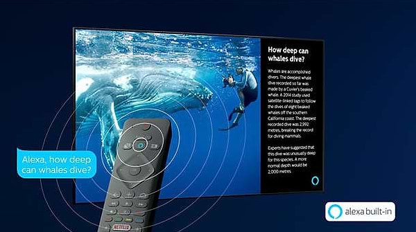 Фото - Телевізор Philips 65PUS7855/12