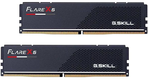 Фото - Память DDR G.Skill Flare X5 DDR5-5200 48GB (2x24GB) (F5-5200J4040A24GX2-FX5)