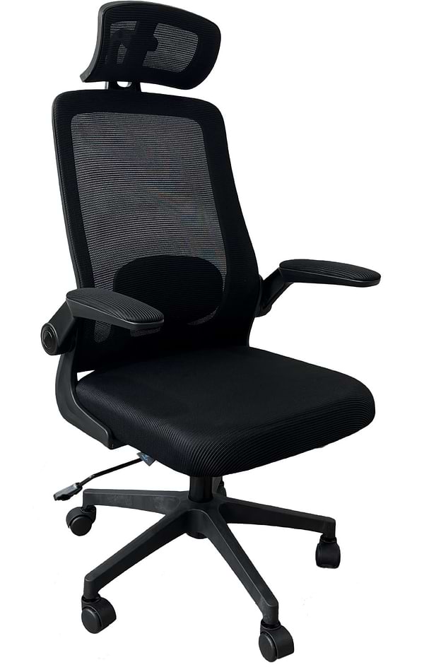 Фото - Кресло для геймеров Aula F526 Gaming Chair Black (6948391286235)