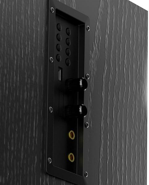 Фото - Акустична система стаціонарна F&D T-60X