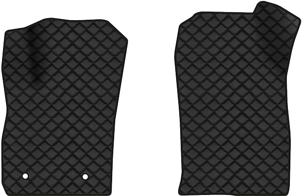 Фото - Килимки з екошкіри в салон авто передні EVAtech ECO для EcoSport Restyling Ford 2017 2 покоління SUV USA FD42434AD2FC2BBB