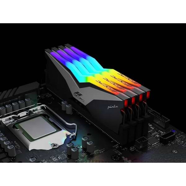 Фото - Память DDR OCPC DDR5 32Gb 6200MHz (MMPT2K32GD562C36T)