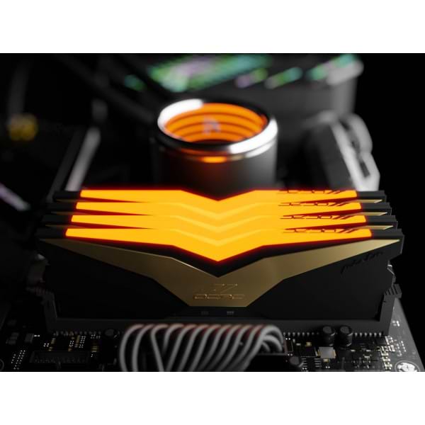 Фото - Память DDR OCPC DDR5 32Gb 6600MHz (MMPT2K32GD566C32BL)