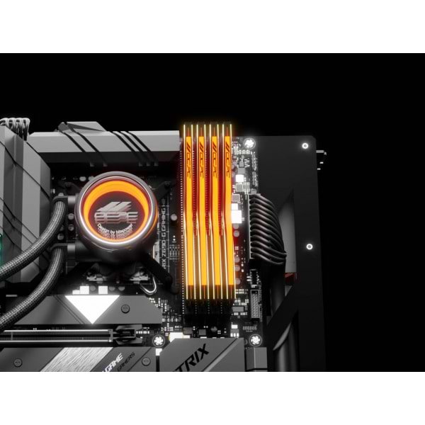 Фото - Память DDR OCPC DDR5 32Gb 6600MHz (MMPT2K32GD566C32BL)