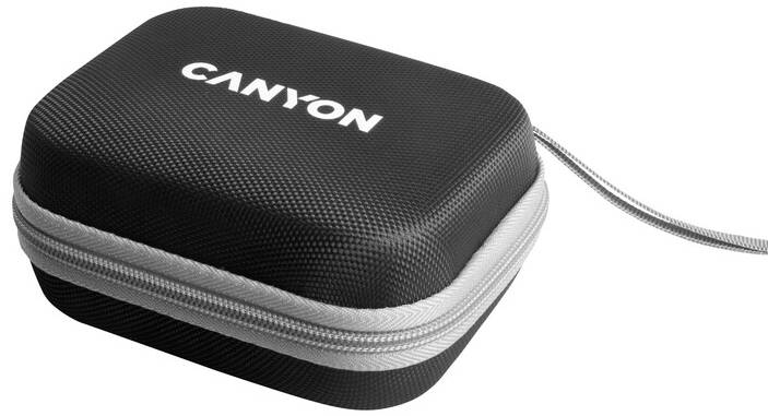 Фото - Бездротовий зарядний пристрій Canyon WS-305 3 в 1 QI Black (CNS-WCS305B)