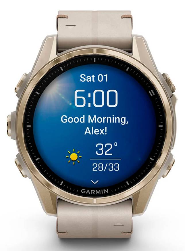 Фото - Смарт-часы Garmin fenix 8 43mm AMOLED (010-02903-40)