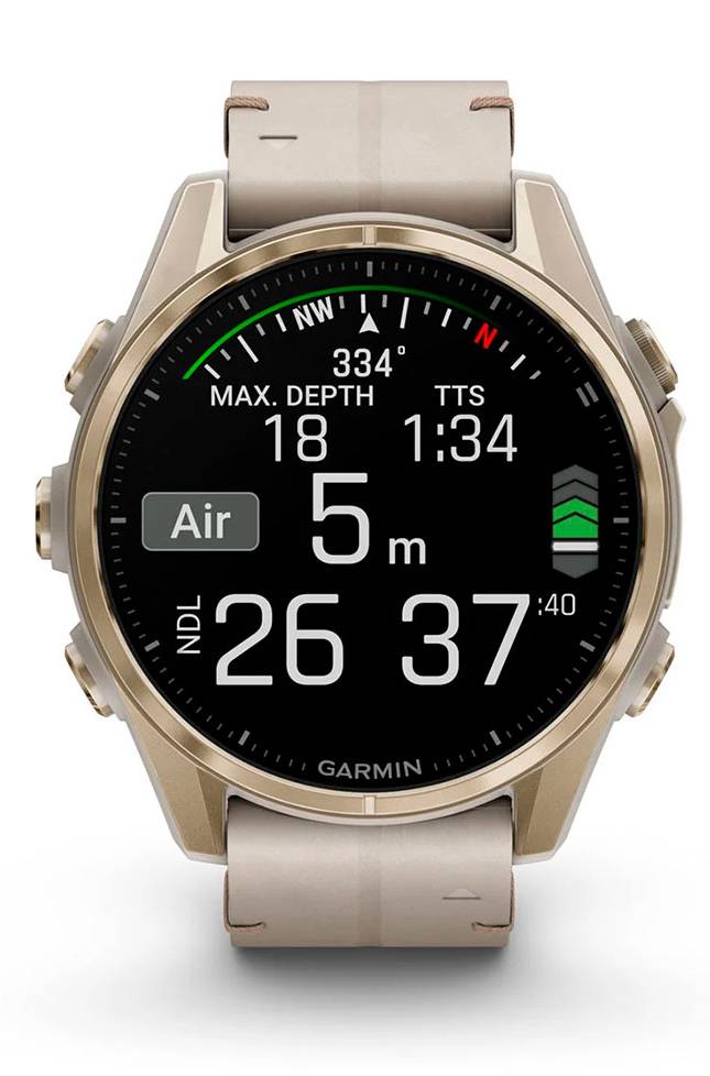 Фото - Смарт-часы Garmin fenix 8 43mm AMOLED (010-02903-40)