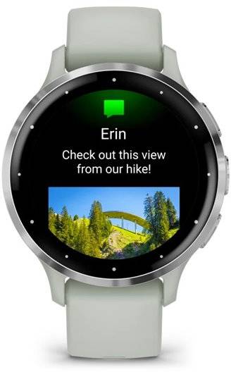 Фото - Смарт-часы Garmin Venu 3S Sage Gray + Passivated (010-02785-01)