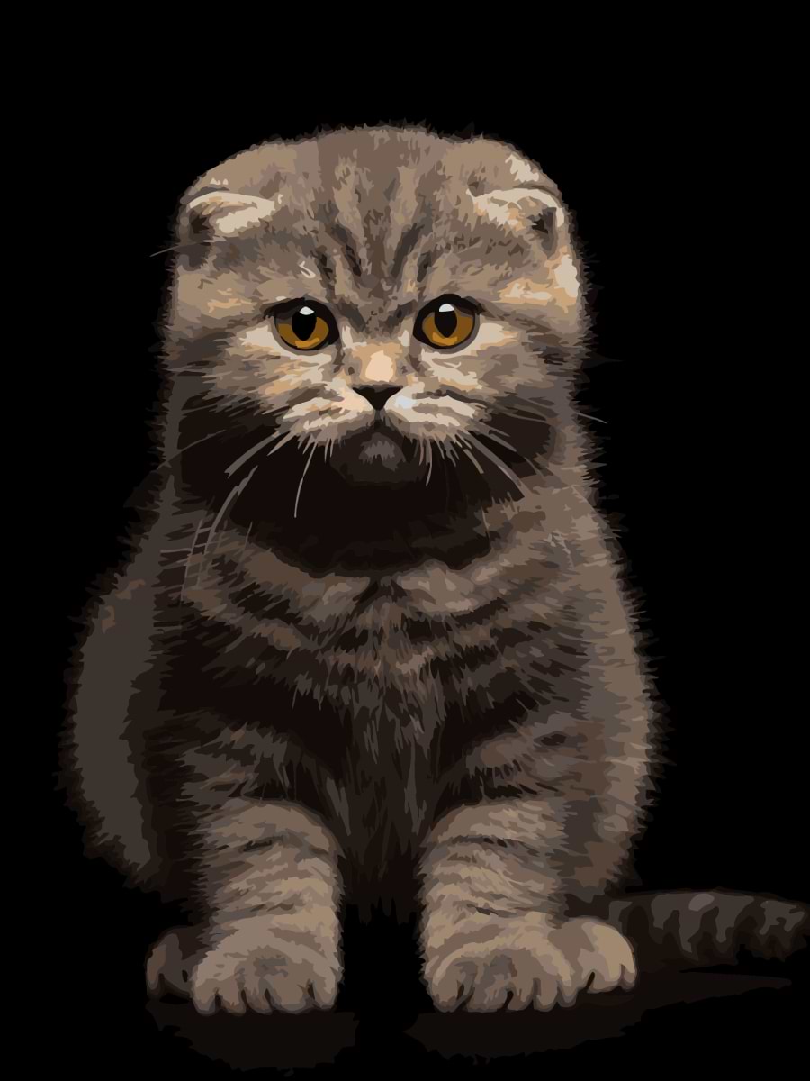 Картина по номерам Strateg Серый котенок на черном фоне 30х40 (FH-25)