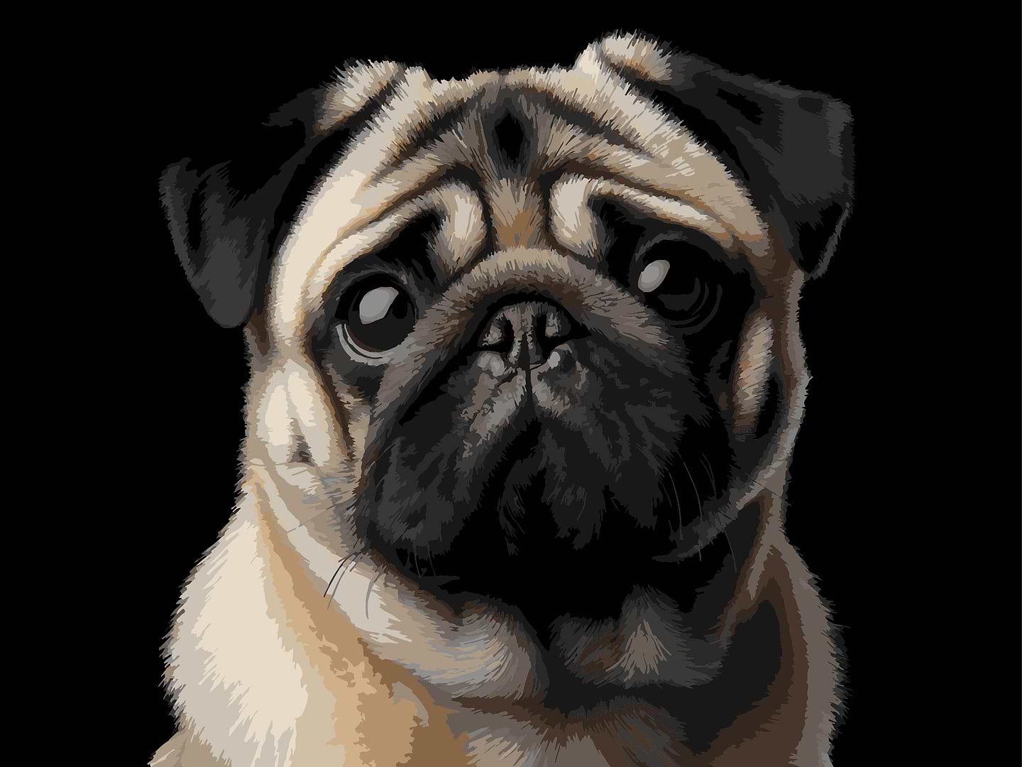 Картина за номерами Strateg Мопс на чорному фоні 30х40 (FH-34)