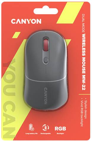 Фото - Миша бездротова Canyon MW-22 Dual Band RGB Wireless Dark Grey (CNS-CMSW22DG)