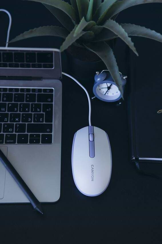 Фото - Миша дротова Canyon M-10 USB White Lavender (CNE-CMS10WL)