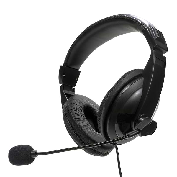 Фото - Гарнітура дротова Platinet Fiesta Headset Mic FIS7510 USB (FIS7510)