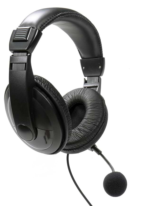 Фото - Гарнітура дротова Platinet Fiesta Headset Mic FIS7510 USB (FIS7510)