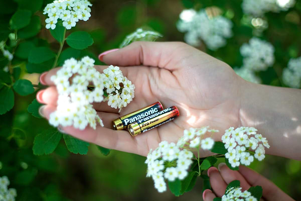 Фото - Батарейка тип AAA Panasonic PRO POWER AAA BLI 4 ALKALINE