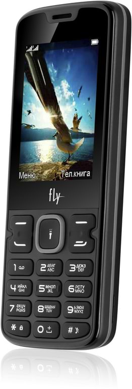 Фото - Мобильный телефон Fly FF250 Dual Sim Black