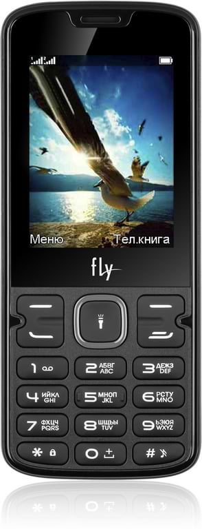 Фото - Мобильный телефон Fly FF250 Dual Sim Black