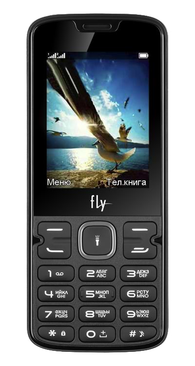 Фото - Мобильный телефон Fly FF250 Dual Sim Black