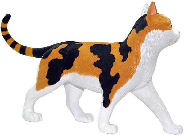 Фото - Набір для дослідження 4D Master Кіт (FM-622040)