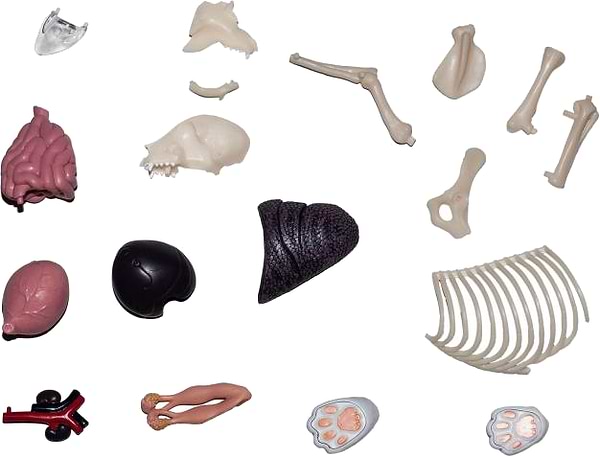 Фото - Набір для дослідження 4D Master Кіт (FM-622040)