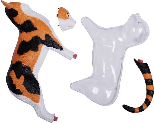 Фото - Набір для дослідження 4D Master Кіт (FM-622040)