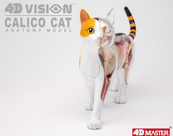 Фото - Набір для дослідження 4D Master Кіт (FM-622040)