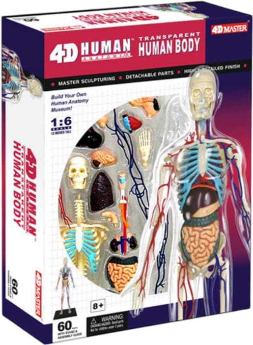 Фото - Набор для исследования 4D Master Тело человека прозрачное (FM-626204) Фото - Набор для исследования 4D Master Тело человека прозрачное (FM-626204)