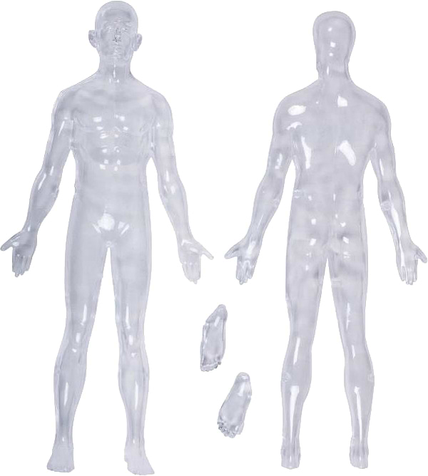 Фото - Набор для исследования 4D Master Тело человека прозрачное (FM-626204)