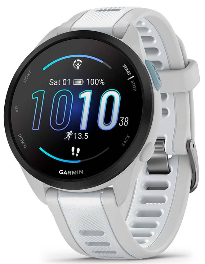 Смарт-часы Garmin Forerunner 165 Music Mist Grey/Whitestone (010-02863-31) - Фото 1