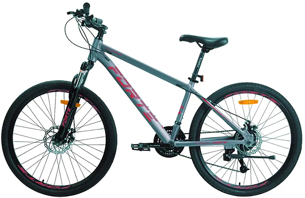 Фото - Двоколісний велосипед Forte COMPASS (25.2921-26S) gray-red