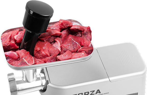 Фото - Кухонный комбайн ECG Forza 5500 Giorno Argento