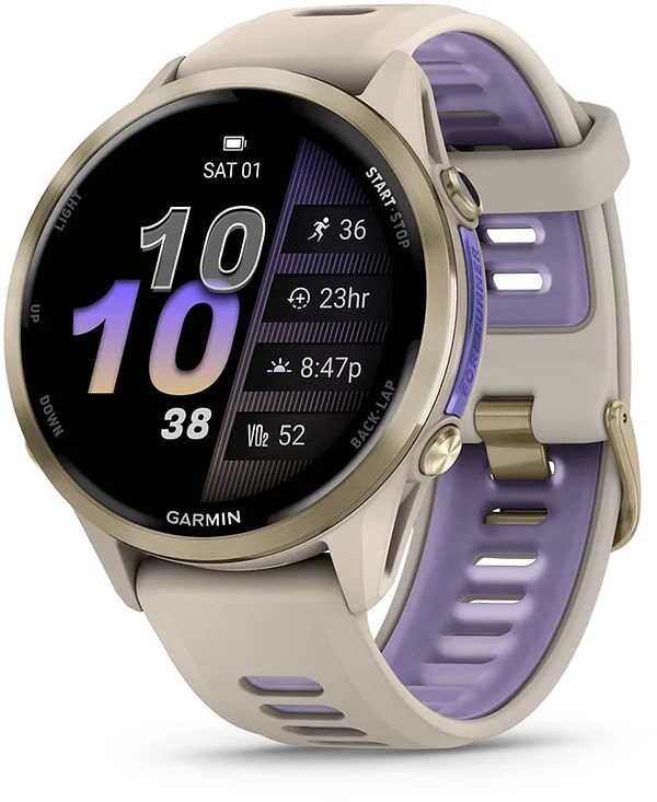 Фото - Смарт-часы Garmin Forerunner 970 French Gray/Indigo (010-02969-12)