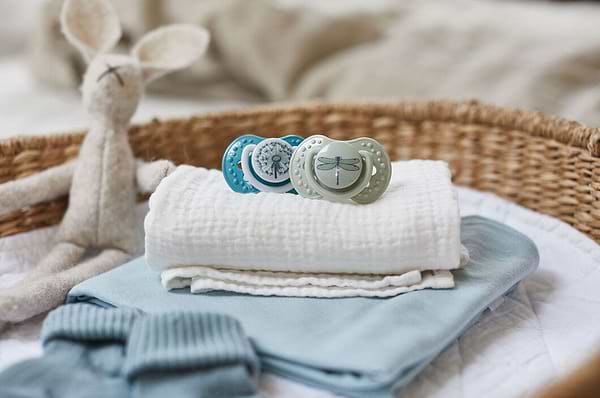 Фото - Динамическая пустышка Lovi 0-3 м-цев 2 шт. Botanic Boy (22/869boy)