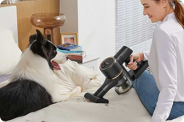 Фото - Пилосос ручний для дому Dreame R10 Pro (VTV41B)