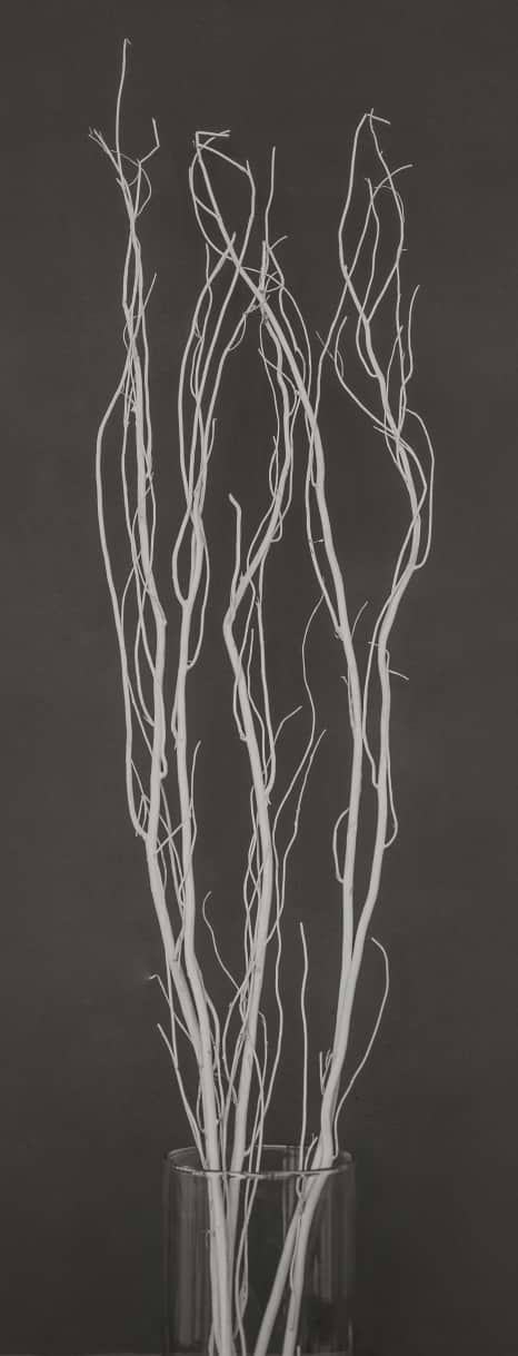 Ветка декоративная YES! Fun белая 120 см (973448)