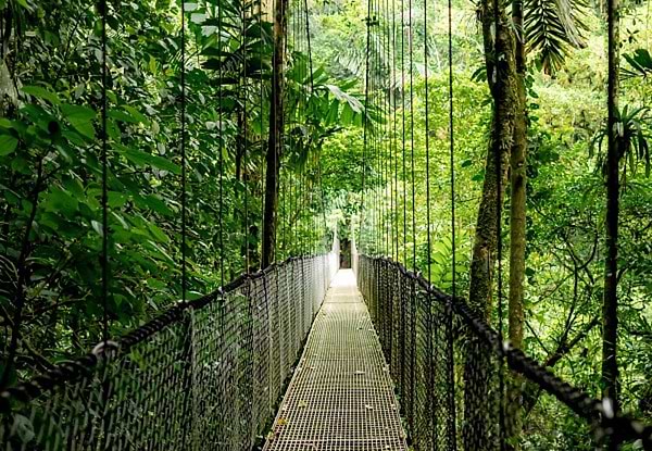 Фото - Ноутбук HP EliteBook 8-G1i (AD3R8ET) Silver