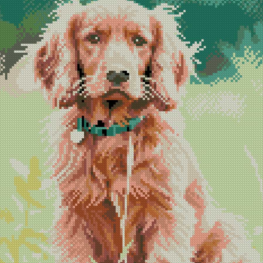 Алмазний живопис Strateg Золотистий спанієль 30х30 (FZ3030-45)