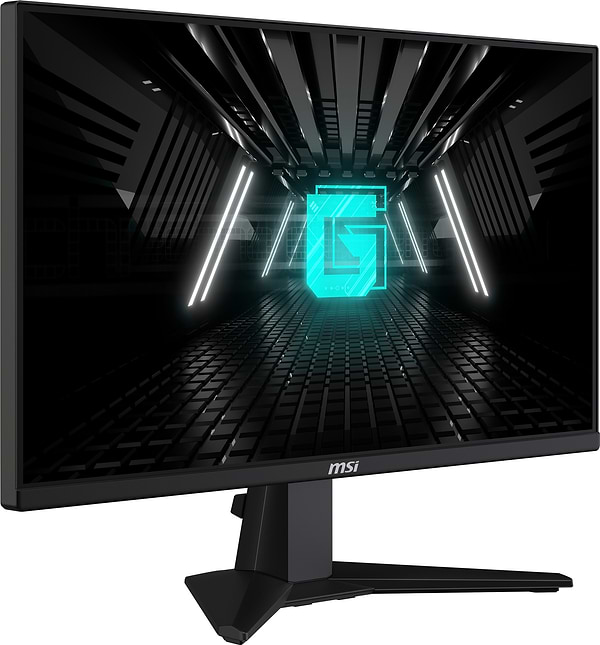 Фото - Монітор ігровий MSI G255F