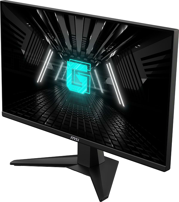 Фото - Монітор ігровий MSI G255F