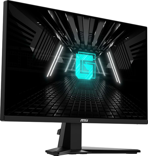 Фото - Монітор ігровий MSI G255F