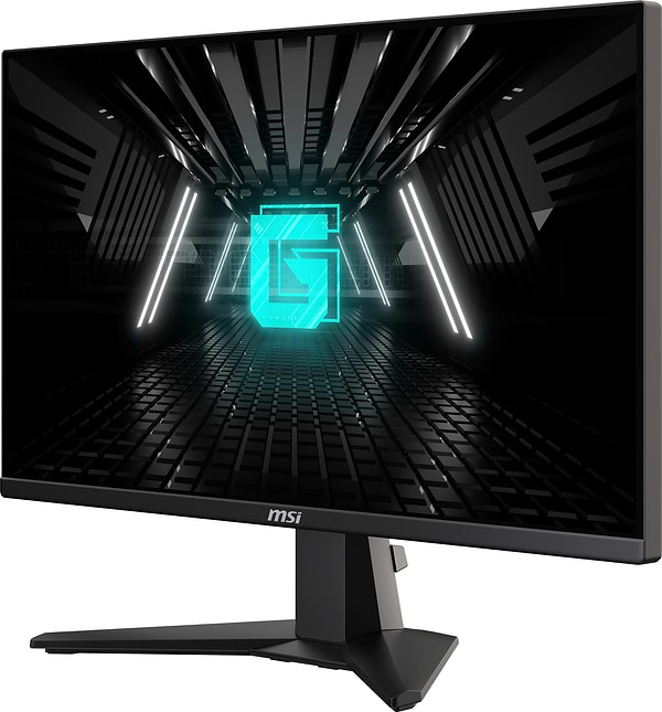 Фото - Монітор ігровий MSI G255F