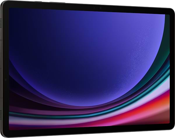 Фото - Планшет Samsung Galaxy Tab S9 5G 12/256Gb Graphite (SM-X716BZAESEK)