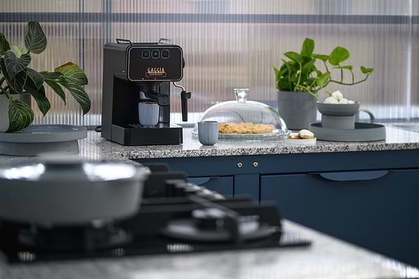 Фото - Кофеварка рожковая Gaggia EG2115/01 Espresso Evolution Black