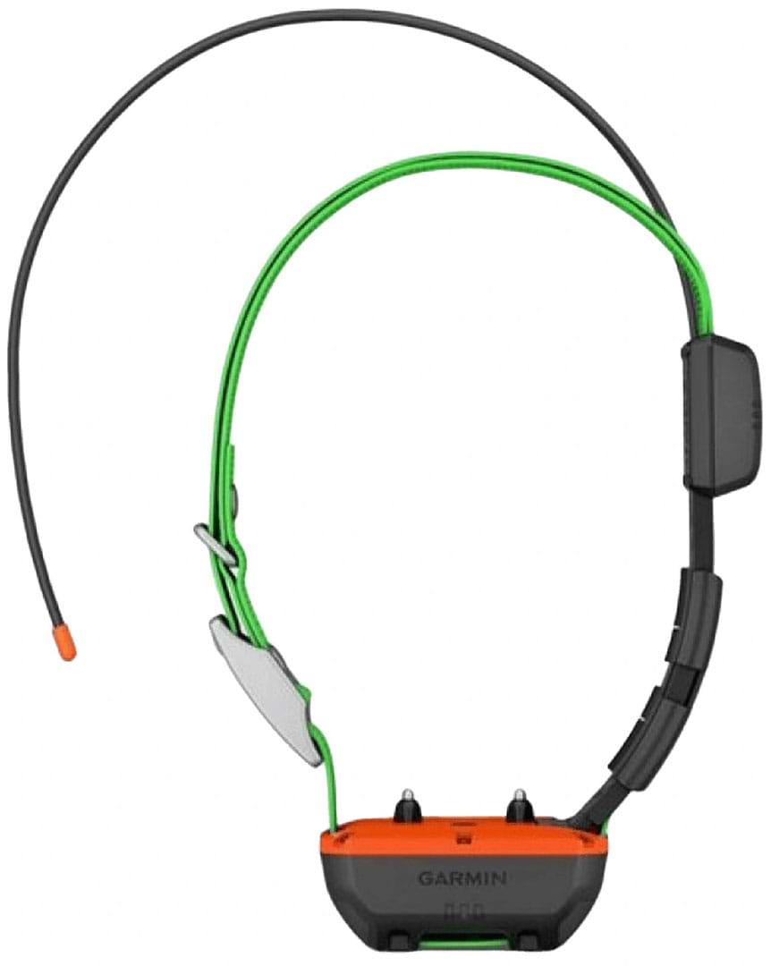 Ошейник GPS для собак Garmin Alpha TT25 GPS collar (010-02447-21)