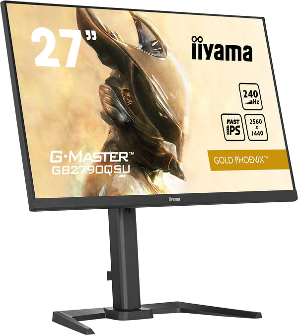 Фото - Монітор ігровий IIYAMA GB2790QSU-B5