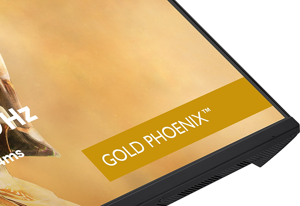 Фото - Монітор ігровий IIYAMA GB3295QSU-B1