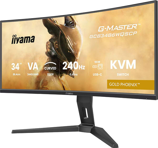 Фото - Монитор IIYAMA GCB3486WQSCP-B1