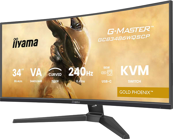 Фото - Монитор IIYAMA GCB3486WQSCP-B1